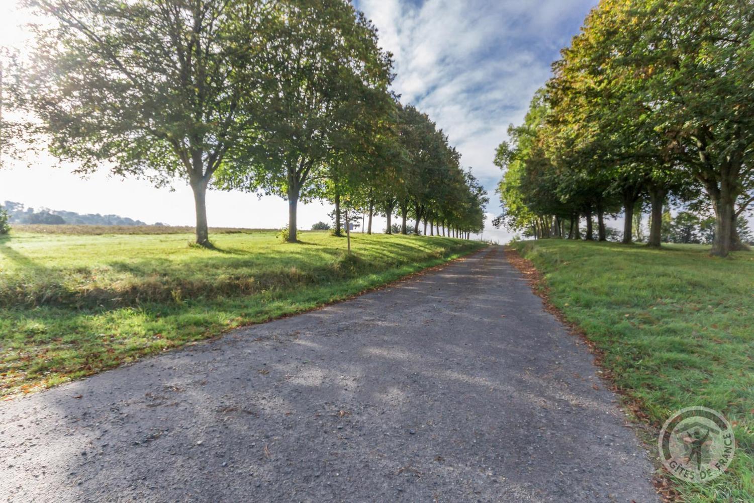 L'Atelier A L'Oree Des Bois Saint-Pierre-en-Auge ภายนอก รูปภาพ